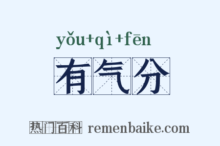 有气分是什么意思的图片